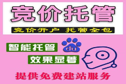 搜索引擎营销（SEM）的创意与执行——以多个行业成功案例为教学