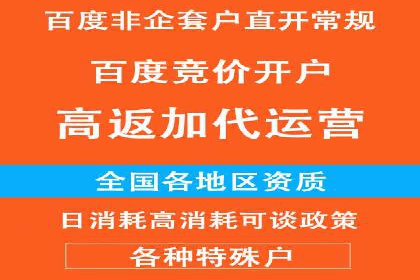 揭秘百度推广代理商：广告投放背后的秘诀